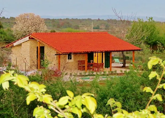 Romantic Cherry * Ζαντάρ